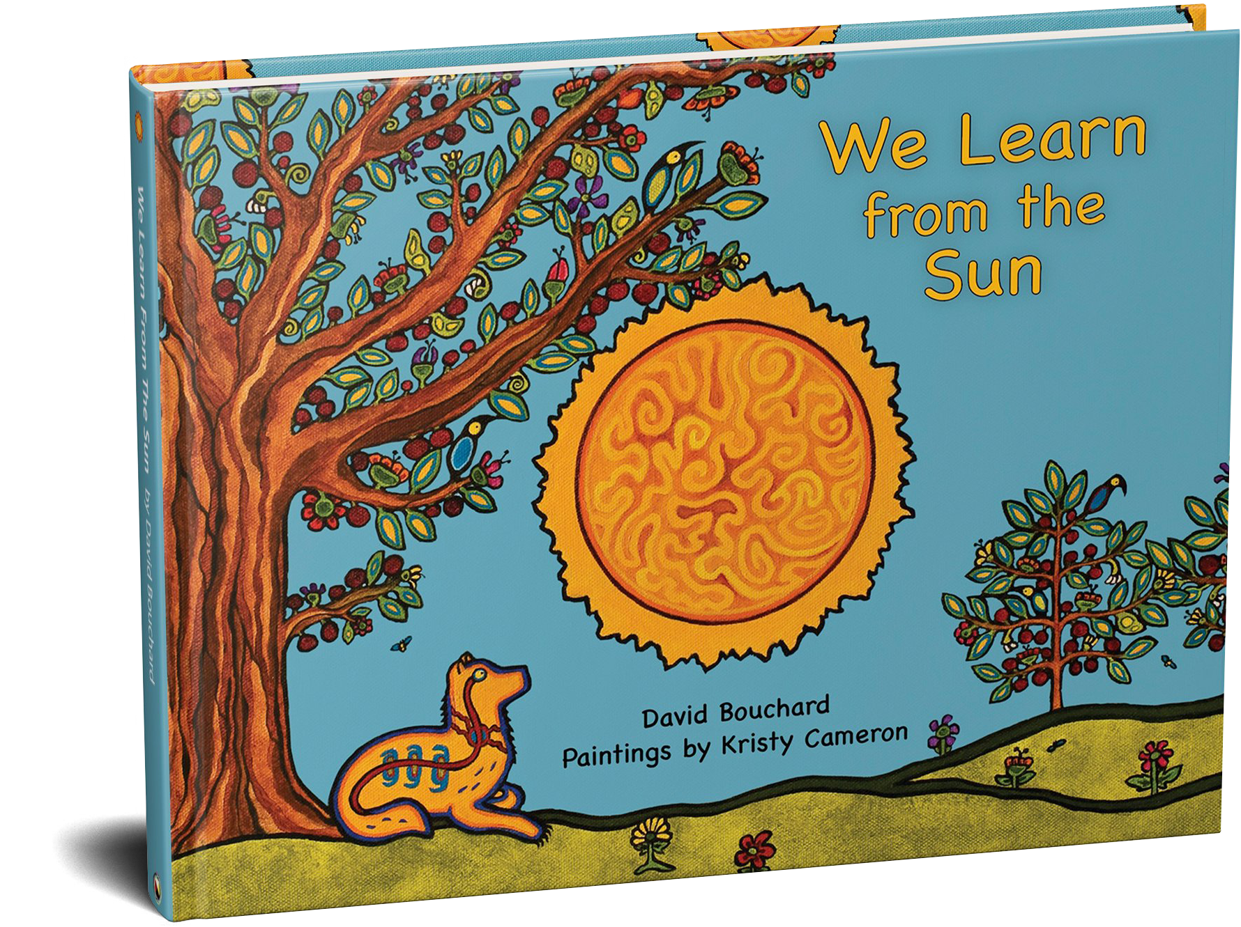 We Learn From The Sun We Learn From The Sun Book